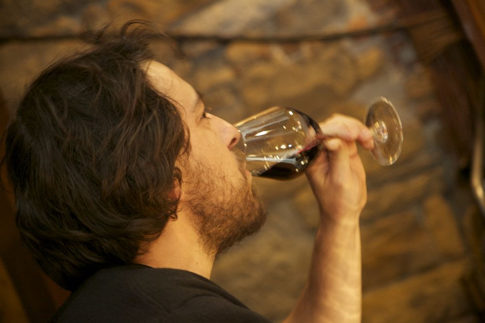 lacave vins20